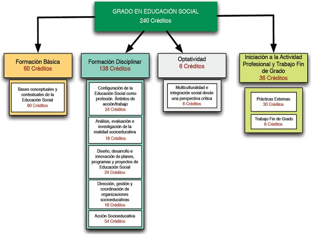 Estructura del Grado en Educación Social (Plan 2011)