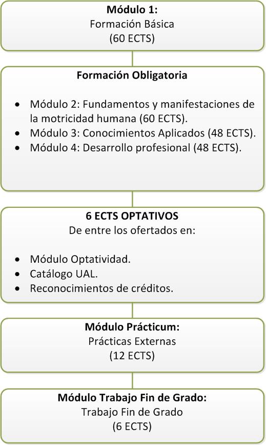 Estructura del Grado en Ciencias de la Actividad Física y del Deporte (Plan 2012)
