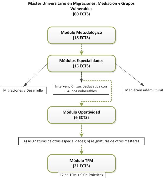 Structure of the Máster en Migraciones, Mediación y Grupos Vulnerables