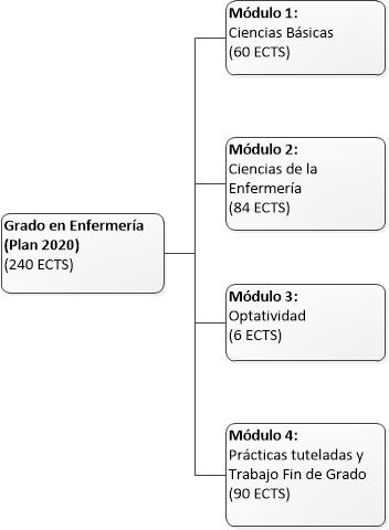 Estructura del Grado en Enfermería (Plan 2020) 