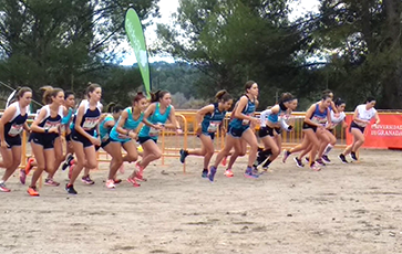 Campo a traves