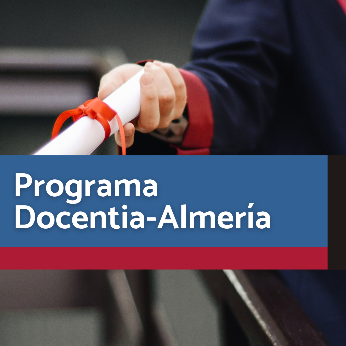 Programa Docentia