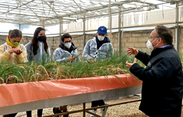 Horticultura protegida sostenible: sistemas de cultivo sin suelo e hidroponía