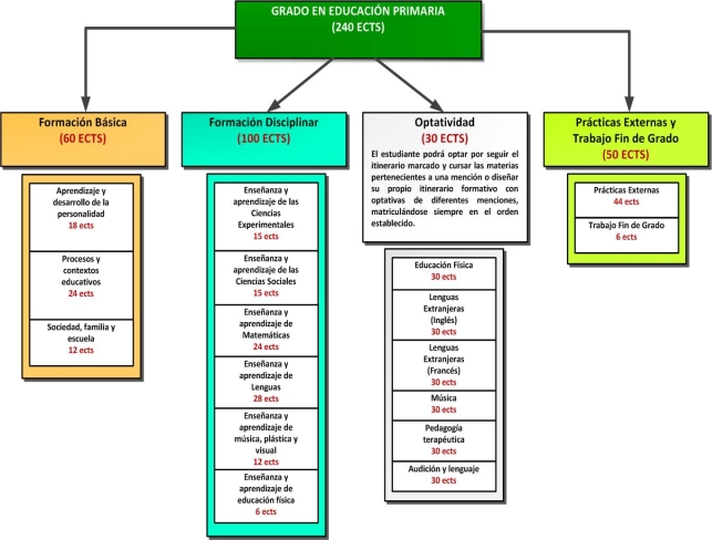 Estructura del Grado en Educación Primaria (Plan 2015)