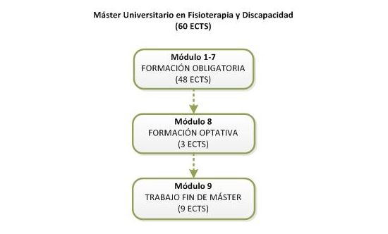 Structure of the Máster en Fisioterapia y Discapacidad