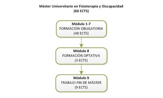 Estructura del Máster en Fisioterapia y Discapacidad