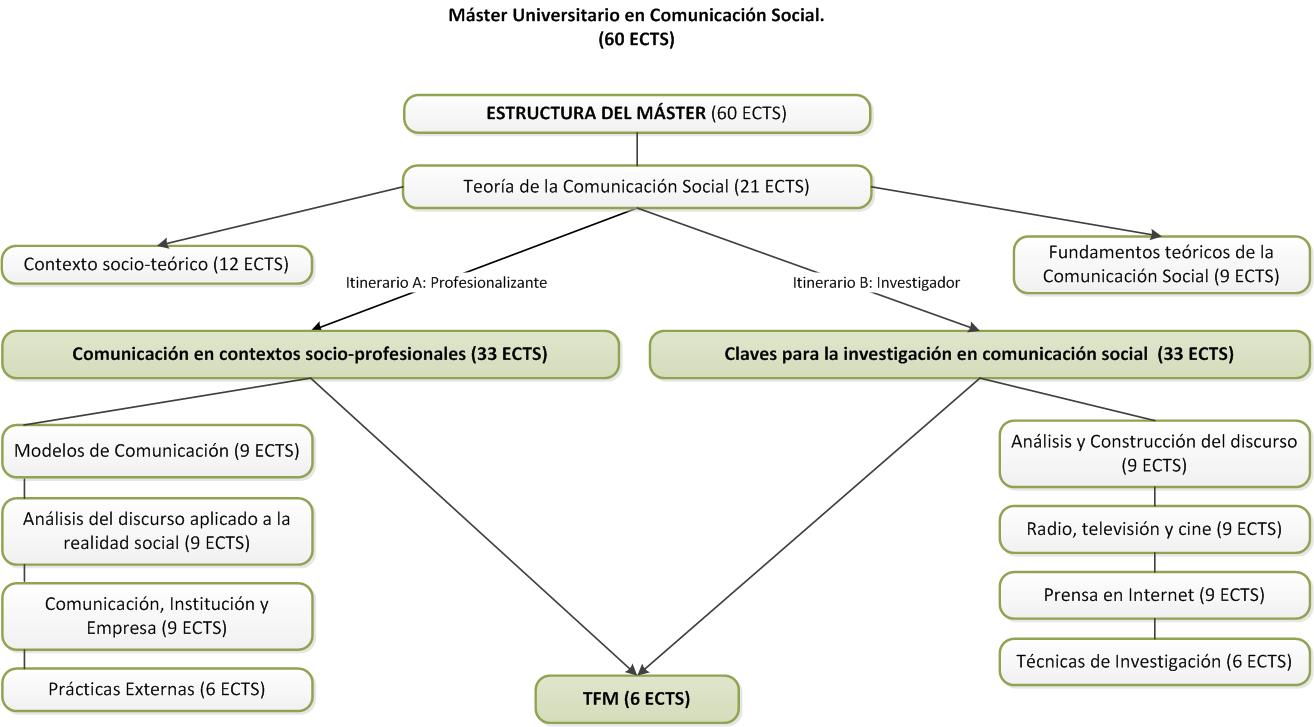 Structure of the Máster en Comunicación Social