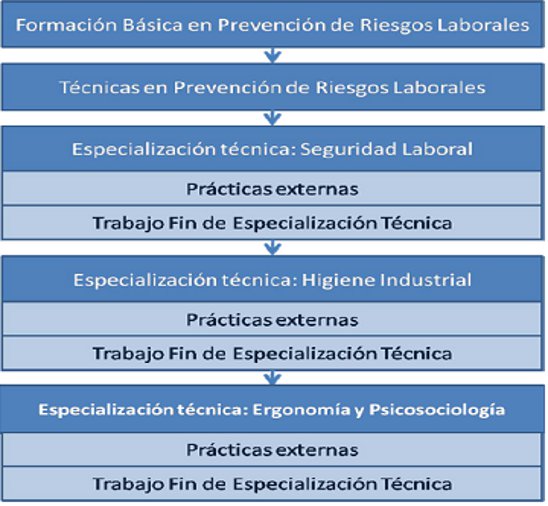 Estructura del Máster en Prevención de Riesgos Laborales