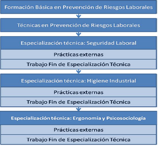 Structure of the Máster en Prevención de Riesgos Laborales