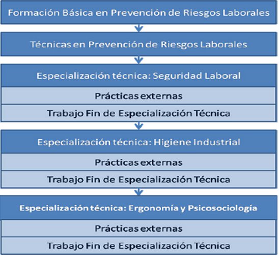 Structure of the Máster en Prevención de Riesgos Laborales