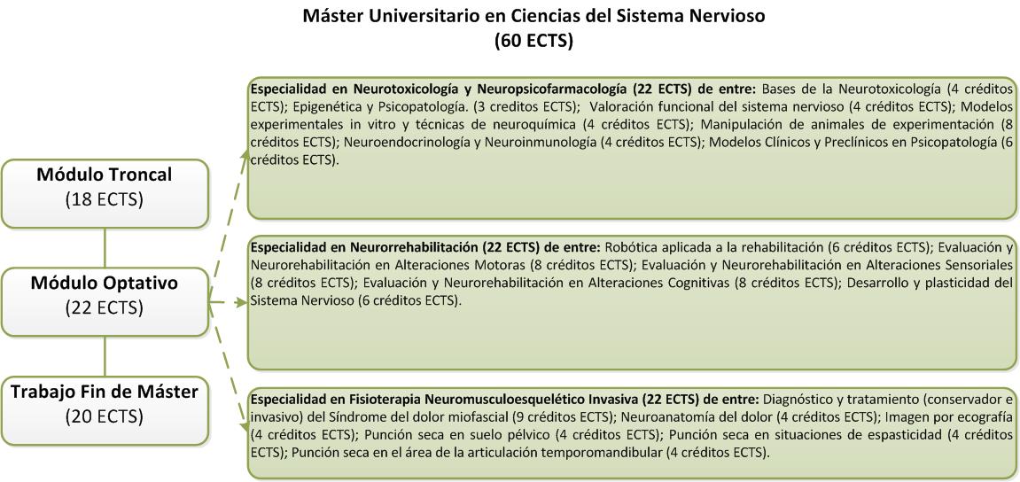 Structure of the Máster en Ciencias del Sistema Nervioso