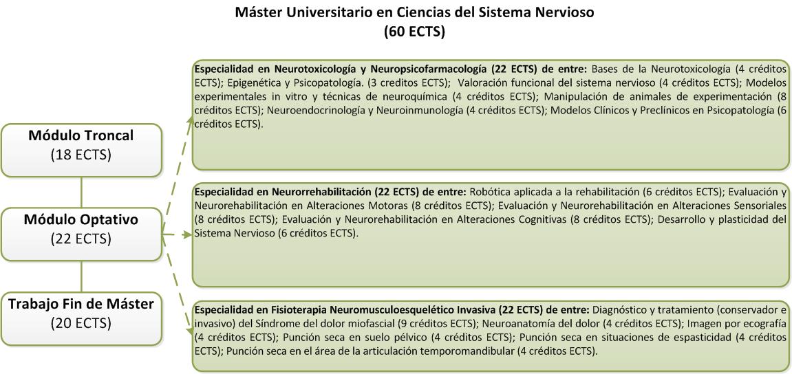 Structure of the Máster en Ciencias del Sistema Nervioso