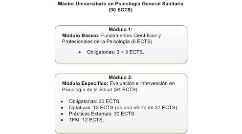 Estructura del Máster en Psicología General Sanitaria