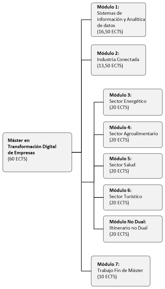 Estructura del Máster en Transformación Digital de Empresas