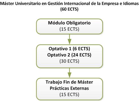 Structure of the Máster en Gestión Internacional de la Empresa e Idiomas