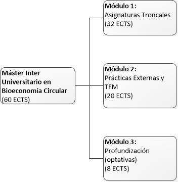 Structure of the Máster en Bioeconomía Circular