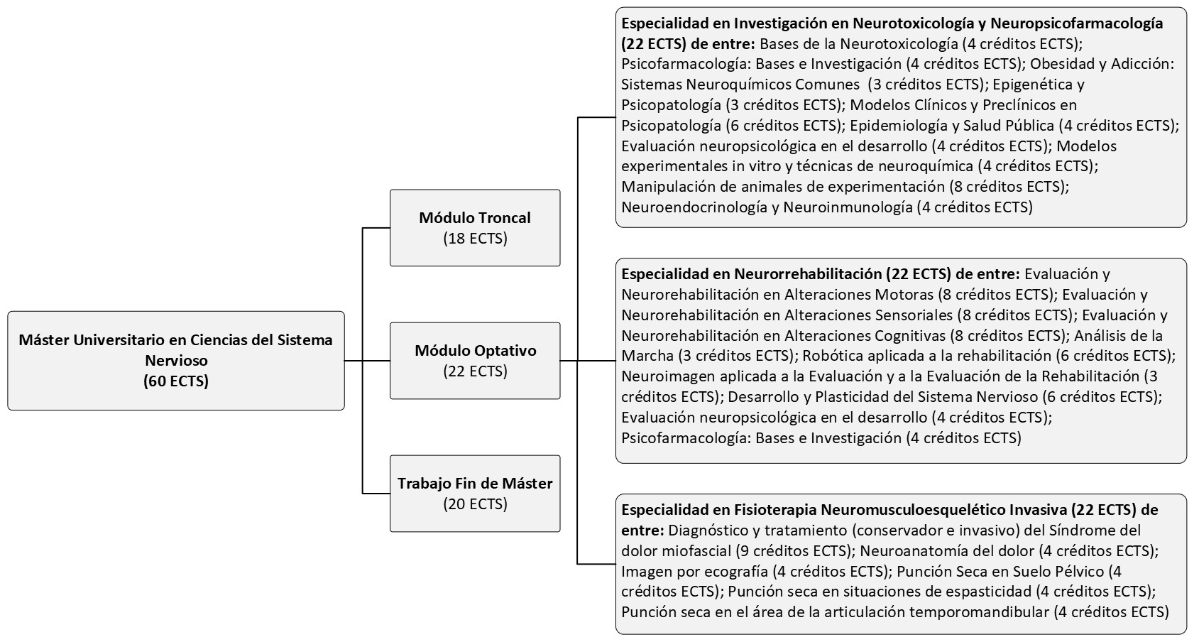 Estructura del Máster en Ciencias del Sistema Nervioso