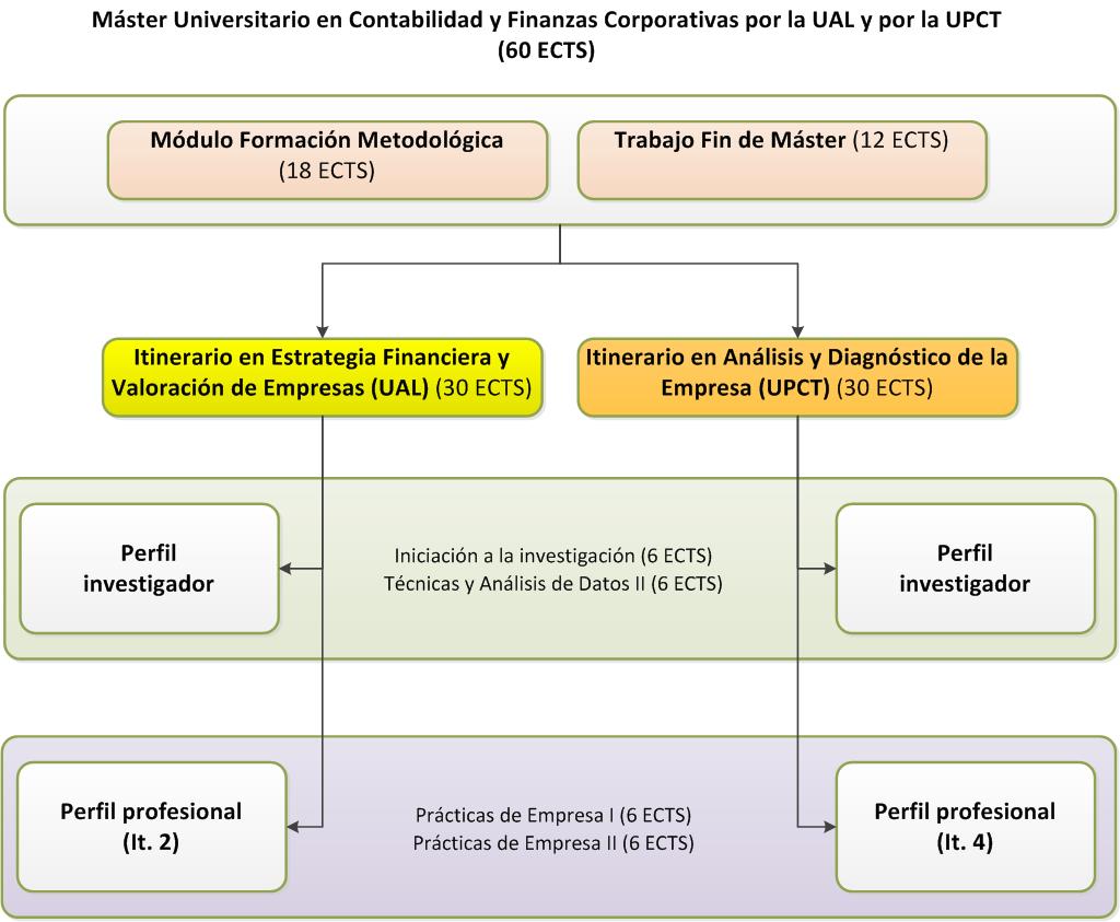 Structure of the Máster en Contabilidad y Finanzas Corporativas