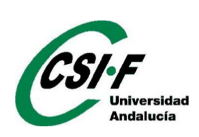https://www.csif.es/andalucia/universidades