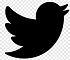 icono twitter