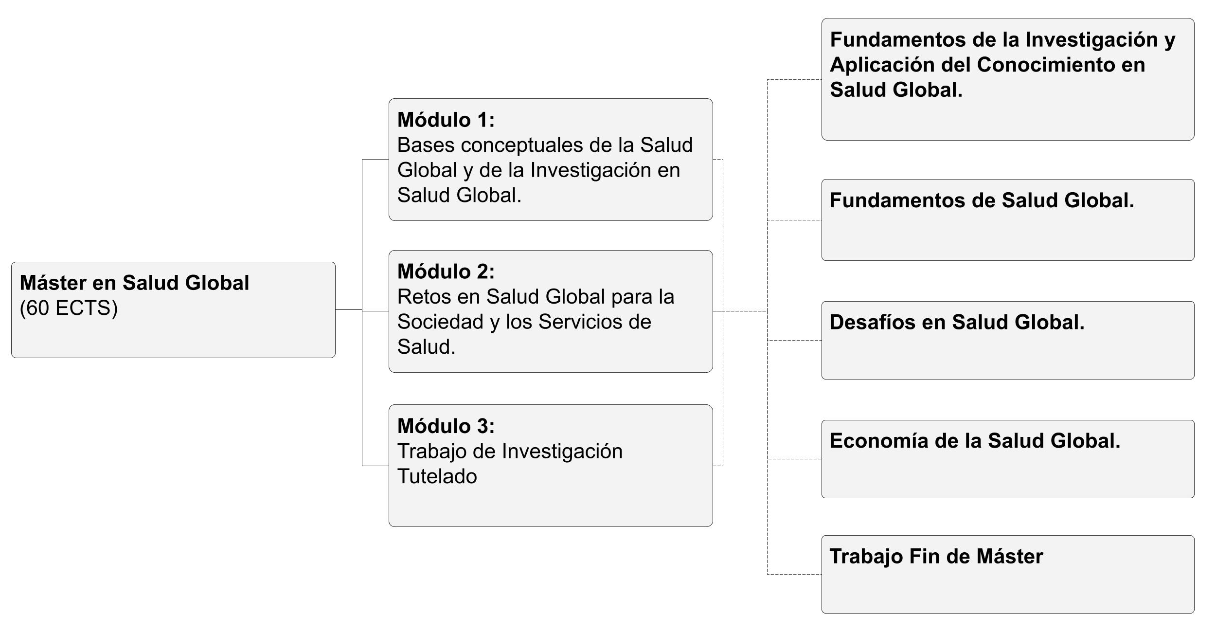 Estructura del Máster en Salud Global
