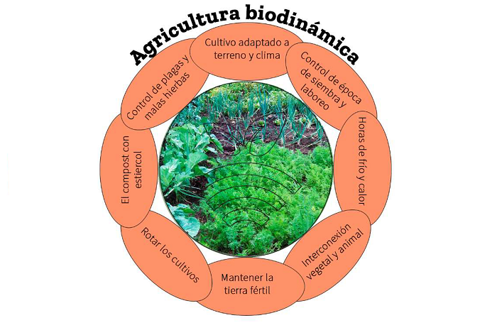 Workshop 2. Organic agriculture in greenhouses. Biodynamic agriculture. Pilar Rodríguez Requena and Alberto Orchando Pérez, CampoJoyma (Almería).