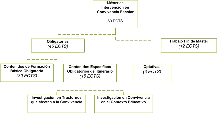 Structure of the Máster en Intervención en Convivencia Escolar