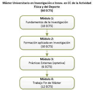 Structure of the Máster en Investigación e Innovación en Ciencias de la Actividad Física y del Deporte