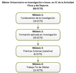 Estructura del Máster en Investigación e Innovación en Ciencias de la Actividad Física y del Deporte