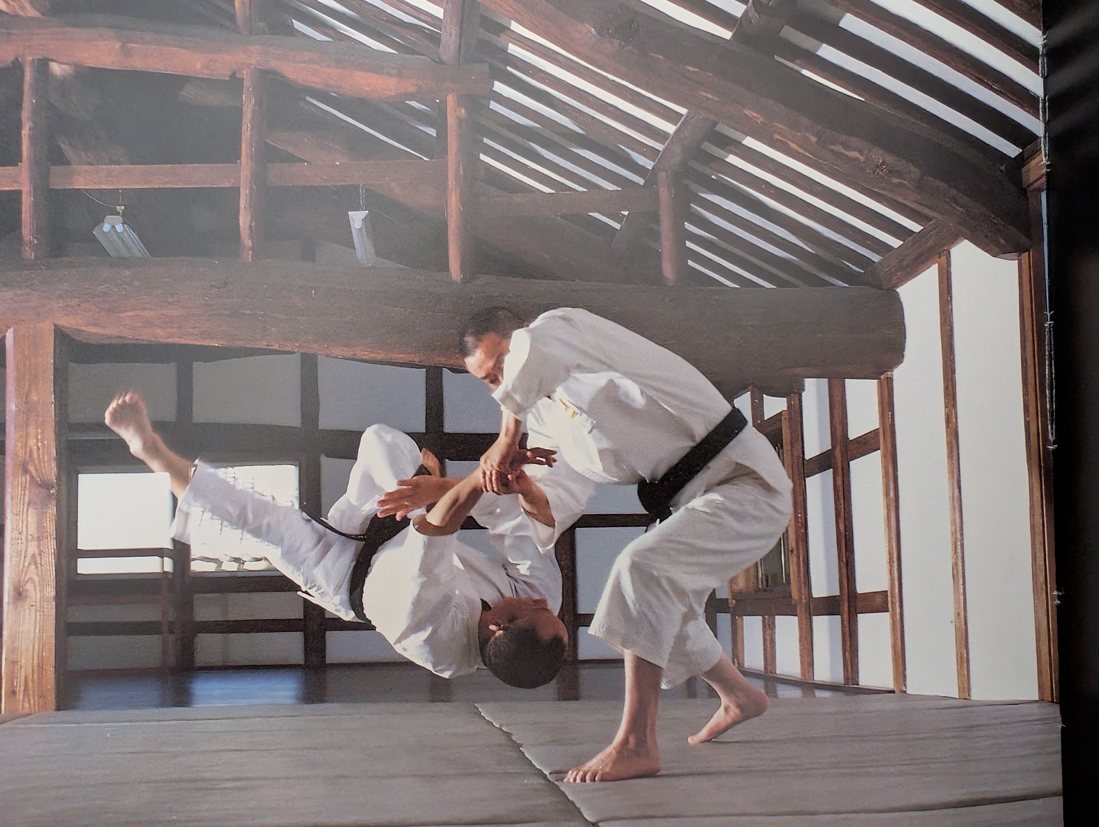 Imagen promocional de Shorinji Kempo