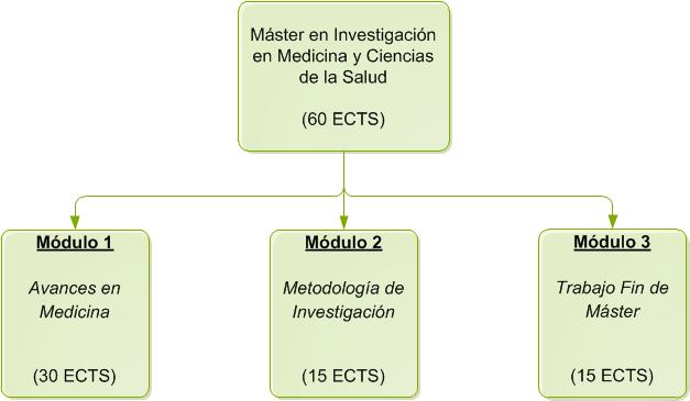 Structure of the Máster en Investigación en Medicina y Ciencias de la Salud