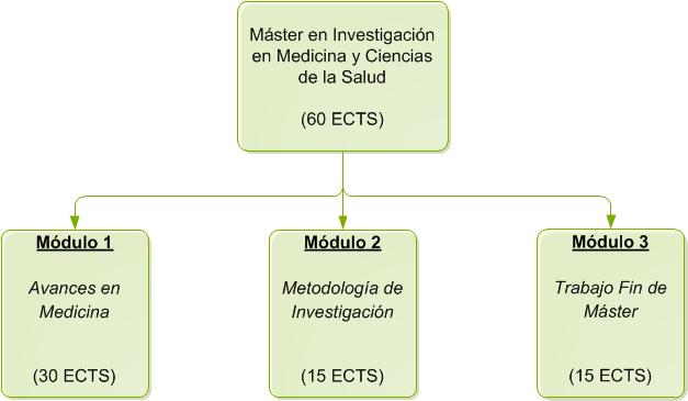 Estructura del Máster en Investigación en Medicina y Ciencias de la Salud