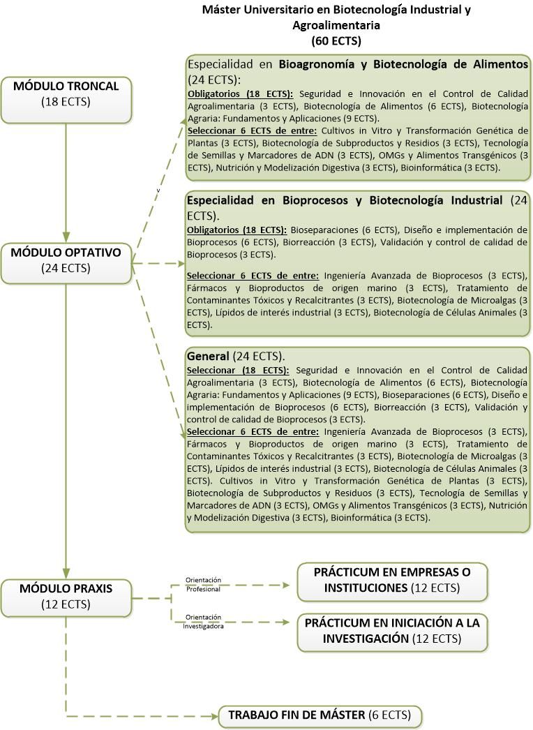 Structure of the Máster en Biotecnologia Industrial y Agroalimentaria