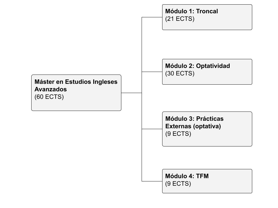 Estructura del Máster en Estudios Ingleses Avanzados