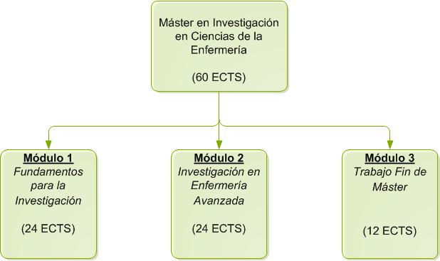 Structure of the Máster en Investigación en Ciencias de la Enfermería