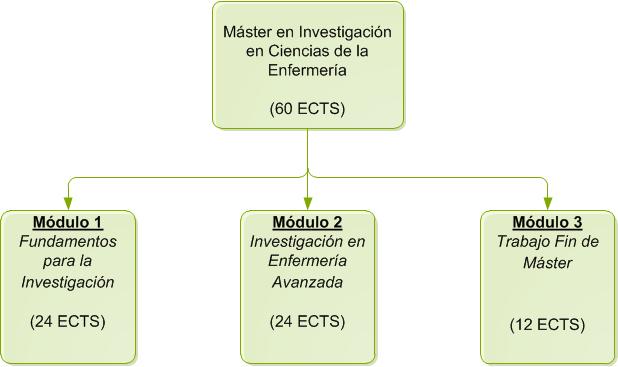 Estructura del Máster en Investigación en Ciencias de la Enfermería