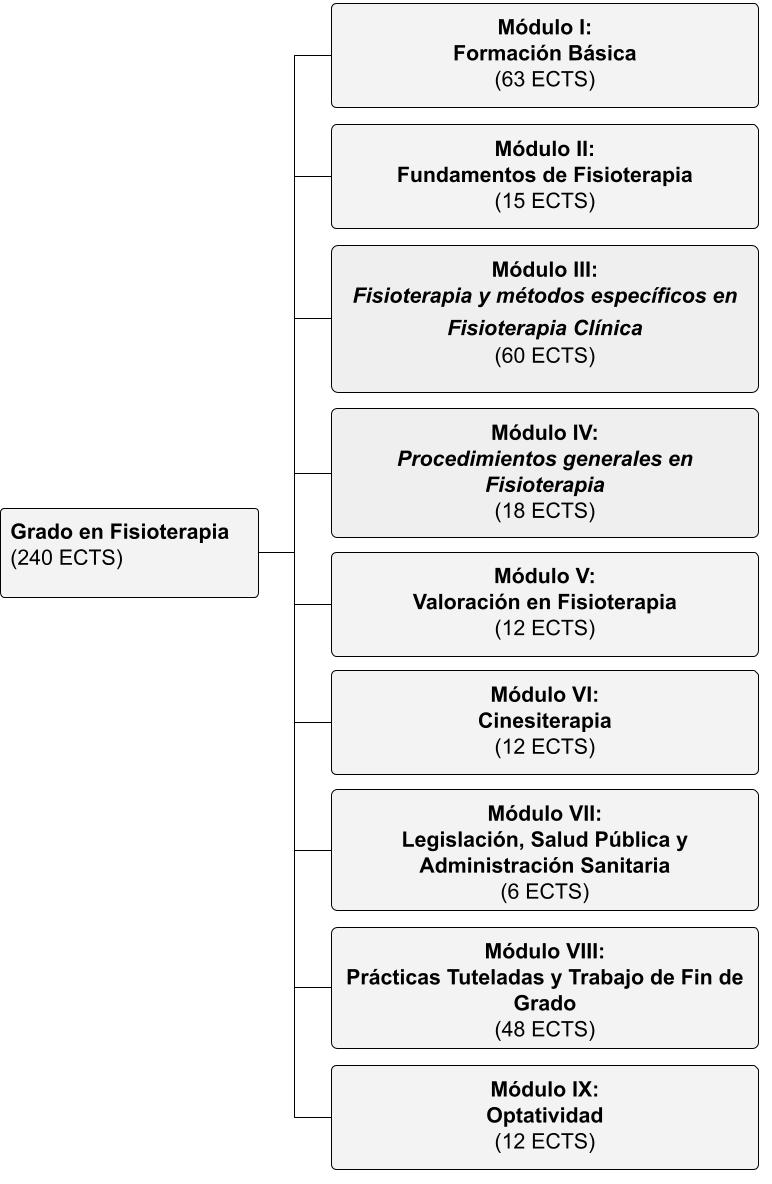 Estructura del Grado en Fisioterapia (Plan 2025)