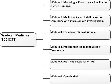 Estructura del Grado en Medicina (Plan 2021) 