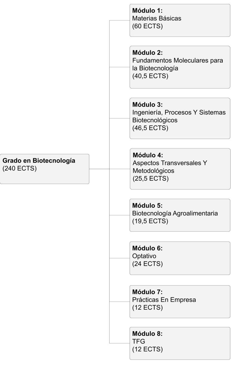 Estructura del Grado en Biotecnología (Plan 2024) 