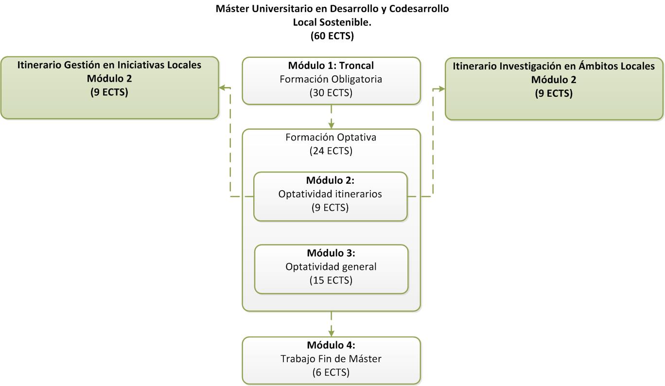 Structure of the Máster en Desarrollo y Codesarrollo Local Sostenible