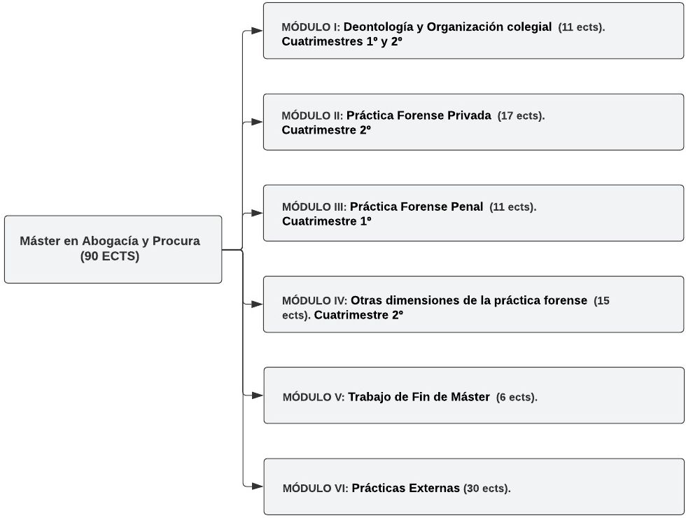 Estructura del Máster en Abogacía y Procuraduría