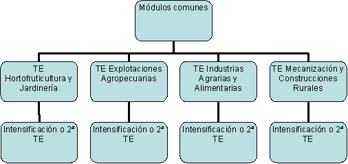 Estructura del Grado en Ingeniería Agrícola (Plan 2015)