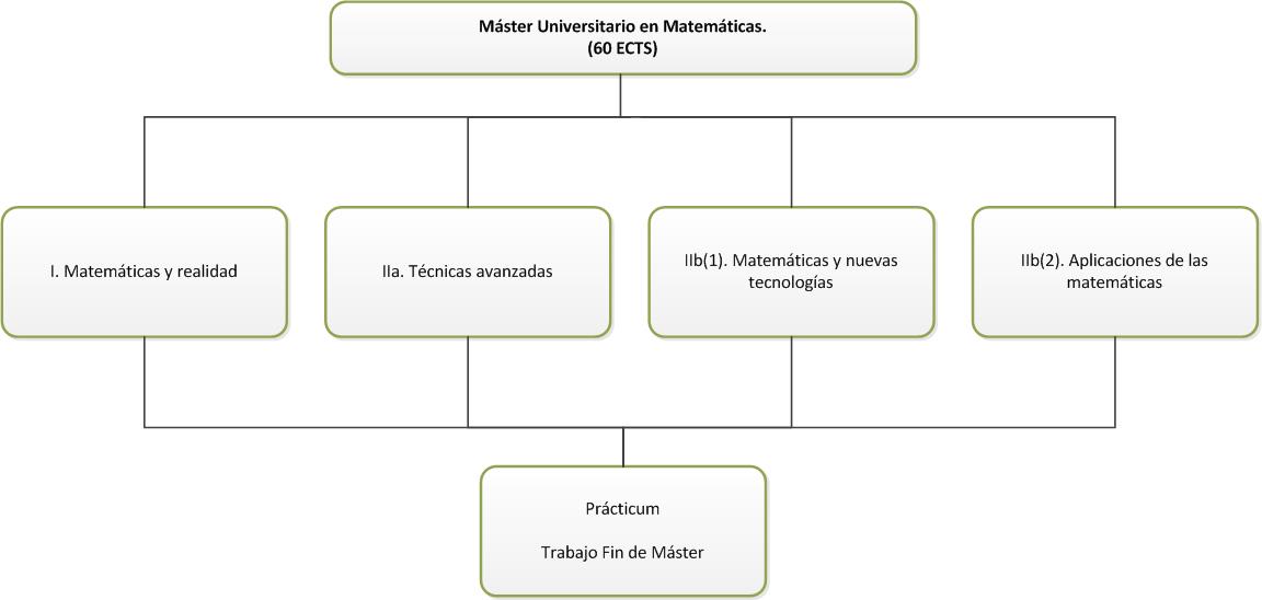 Structure of the Máster en Matemáticas