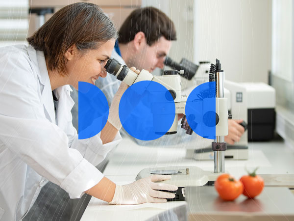 Biotecnología y Bioprocesos Industriales Aplicados a la Agroalimentación y Medioambiente Biotecnología y Bioprocesos Industriales Aplicados a la Agroalimentación y Medioambiente