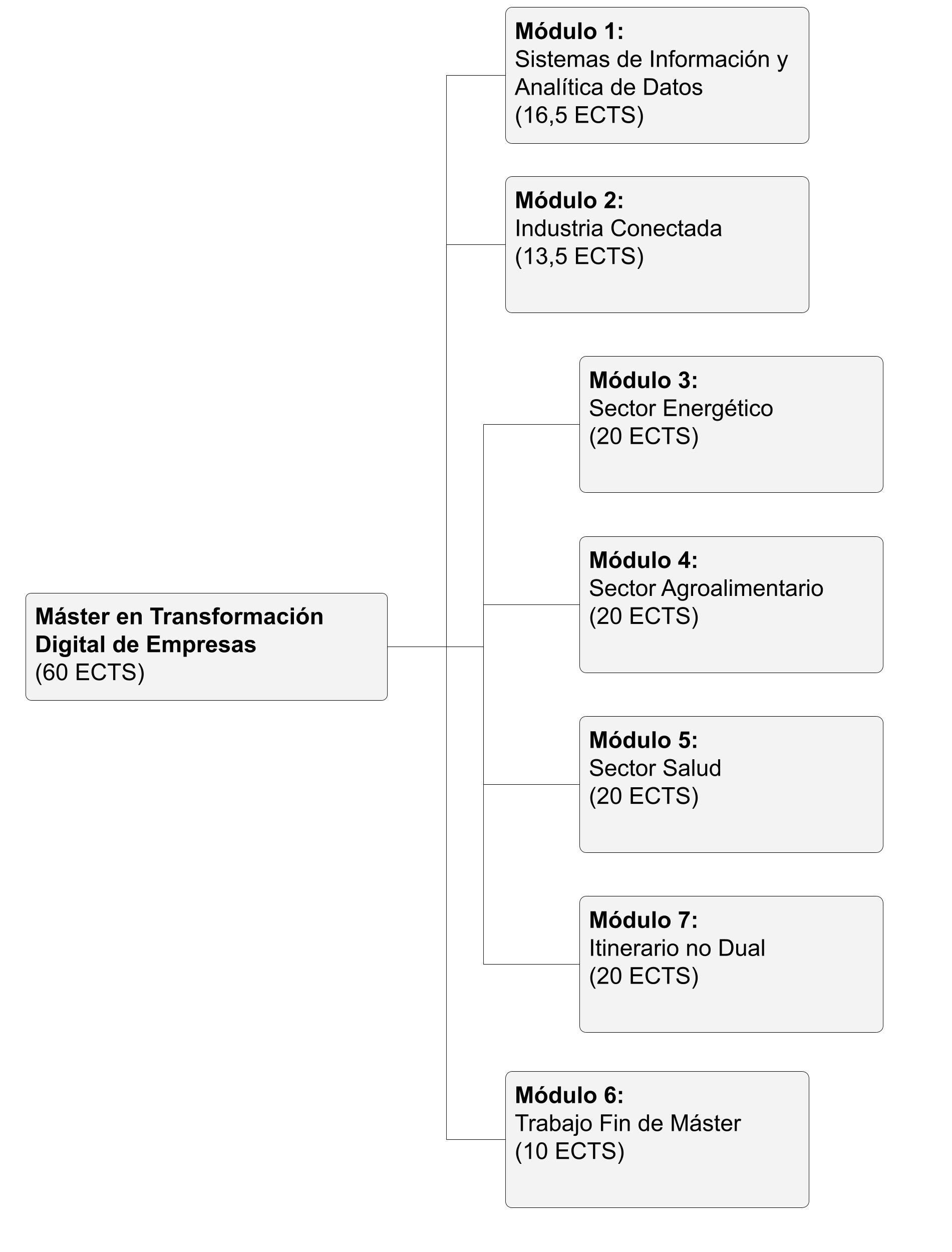 Estructura del Máster en Transformación Digital de Empresas