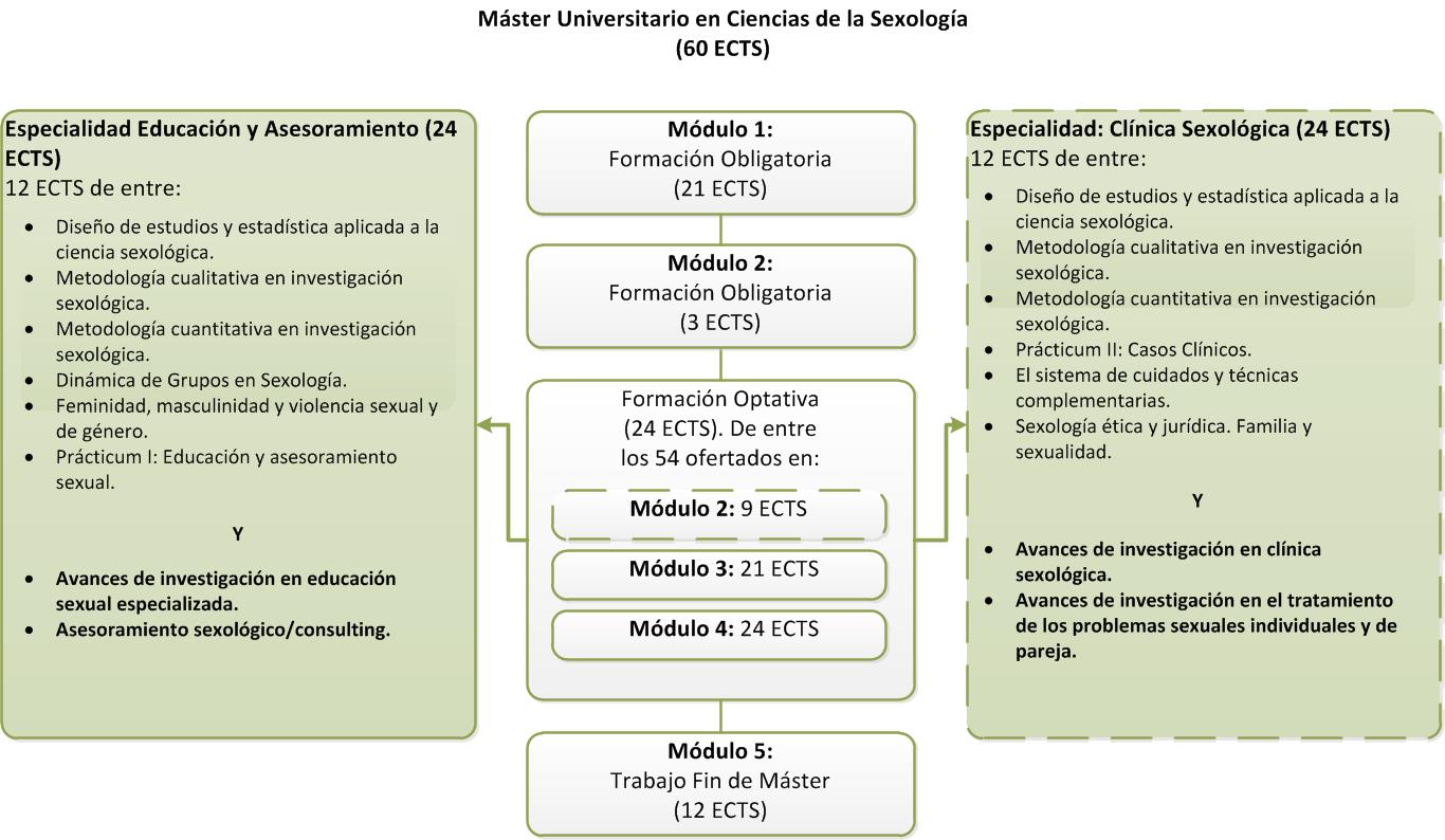 Structure of the Máster en Ciencias de la Sexología