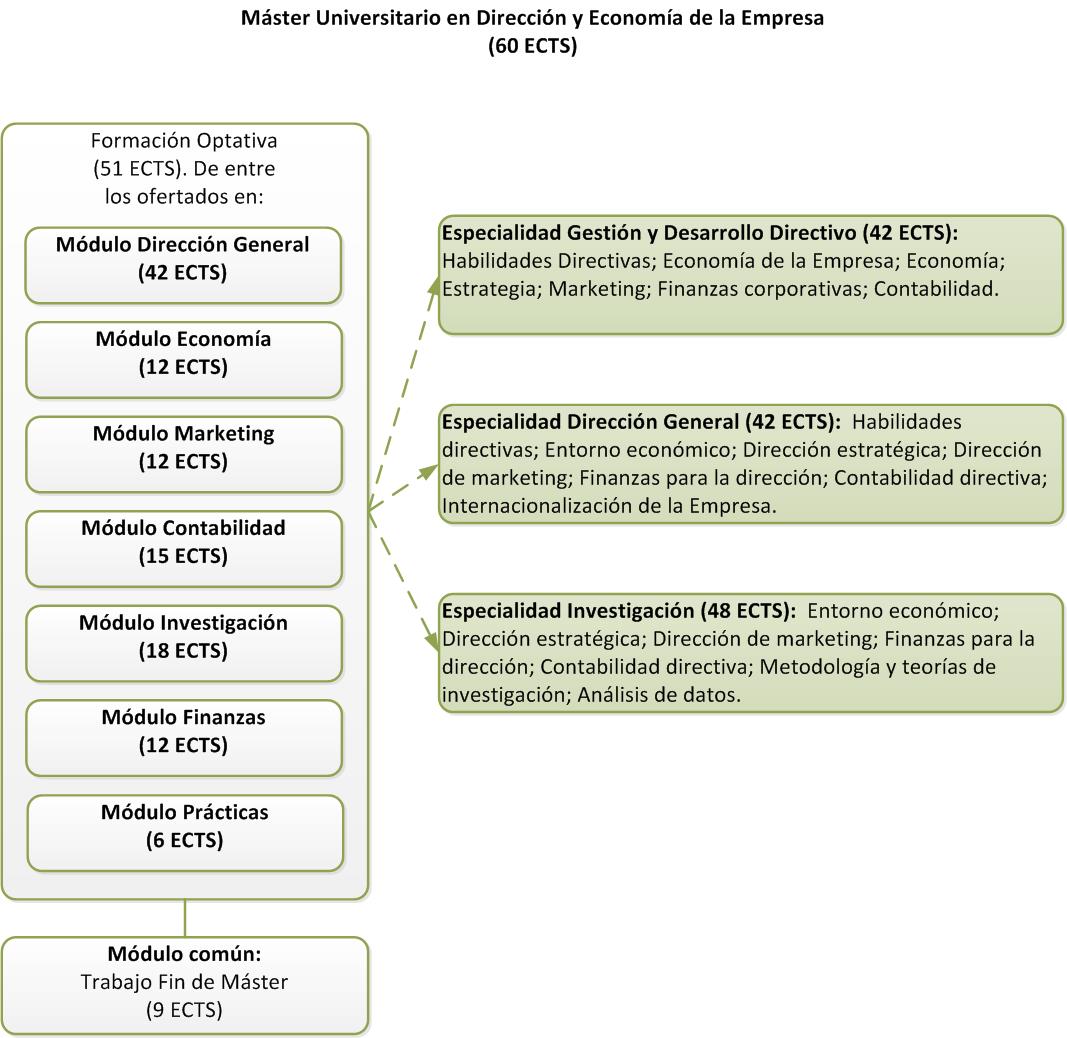 Structure of the Máster en Dirección y Economía de la Empresa