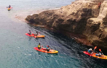 Piragüismo, stand up paddle y dragonboat