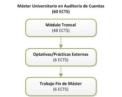 Structure of the Máster en Auditoría de Cuentas