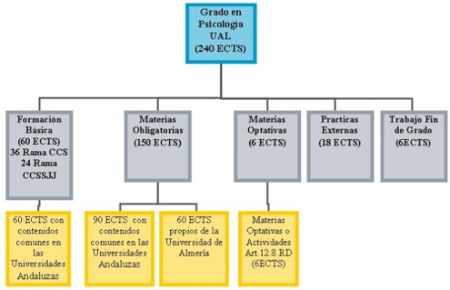 Estructura del Grado en Psicología (Plan 2010)